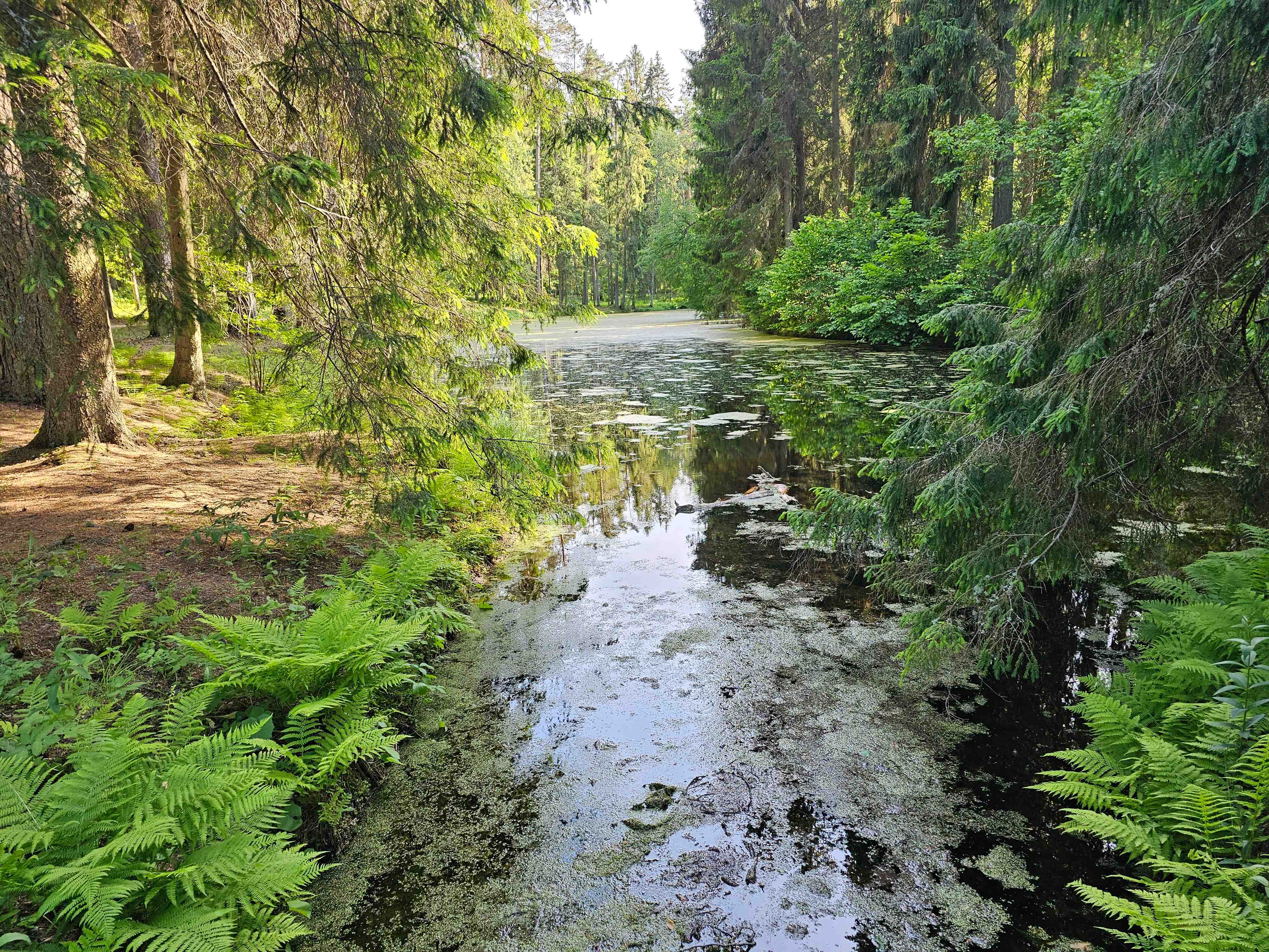 Михайловское